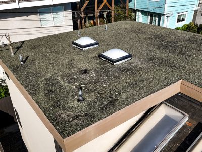 default Flat roof with two skylights